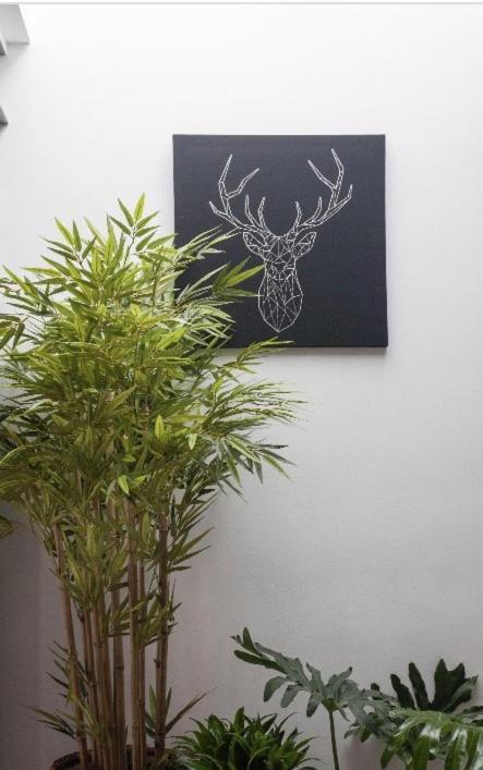 Apartments In Old Town Marbella Bagian luar foto